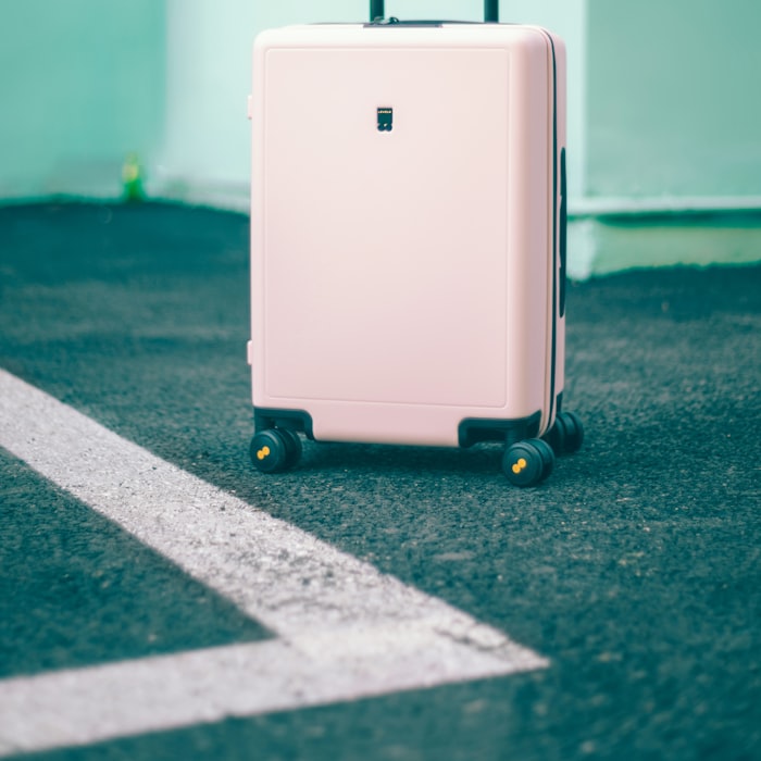 Cabin suitcase